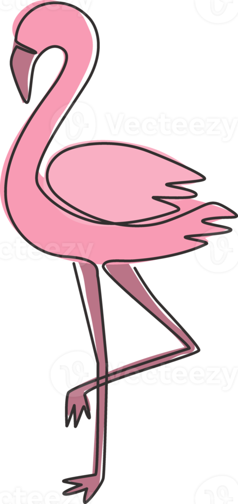 One continuous line drawing of beauty flamingo for city animal zoo. Flamingo mascot concept for bird conservation park. Modern single line vector draw design graphic illustration png