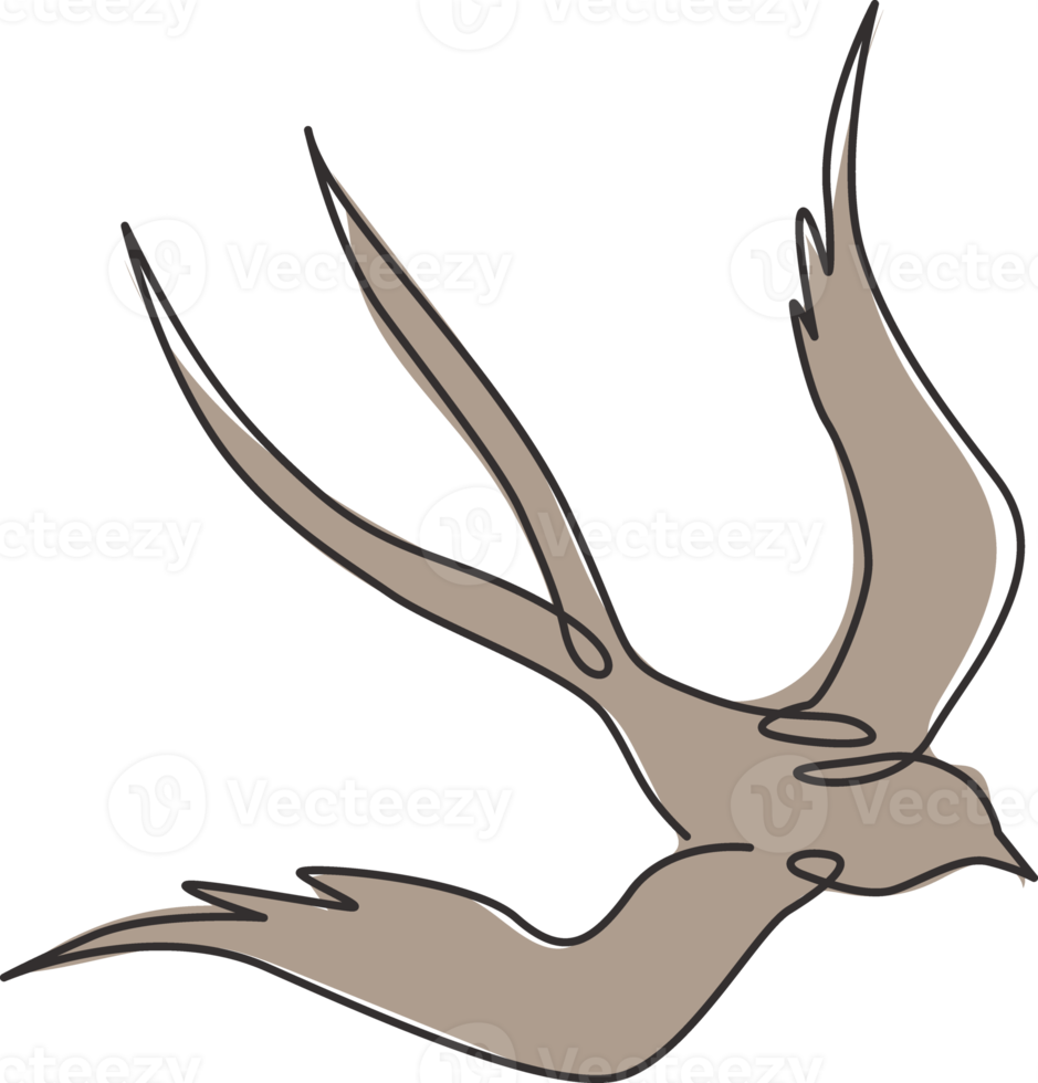 un disegno a tratteggio di un'elegante rondine per l'identità del logo aziendale. piccolo concetto di mascotte di uccelli per simbolo di cibo sano. illustrazione grafica vettoriale di disegno di disegno di linea continua moderna png