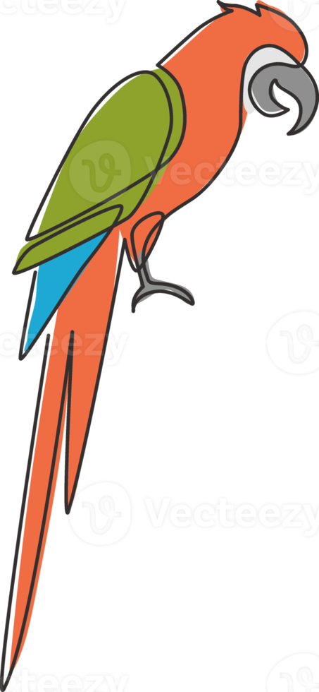 Single continuous line drawing of cute adorable parrot bird with long tail for logo identity. Wing feather animal mascot concept for national zoo icon. One line draw graphic design vector illustration png