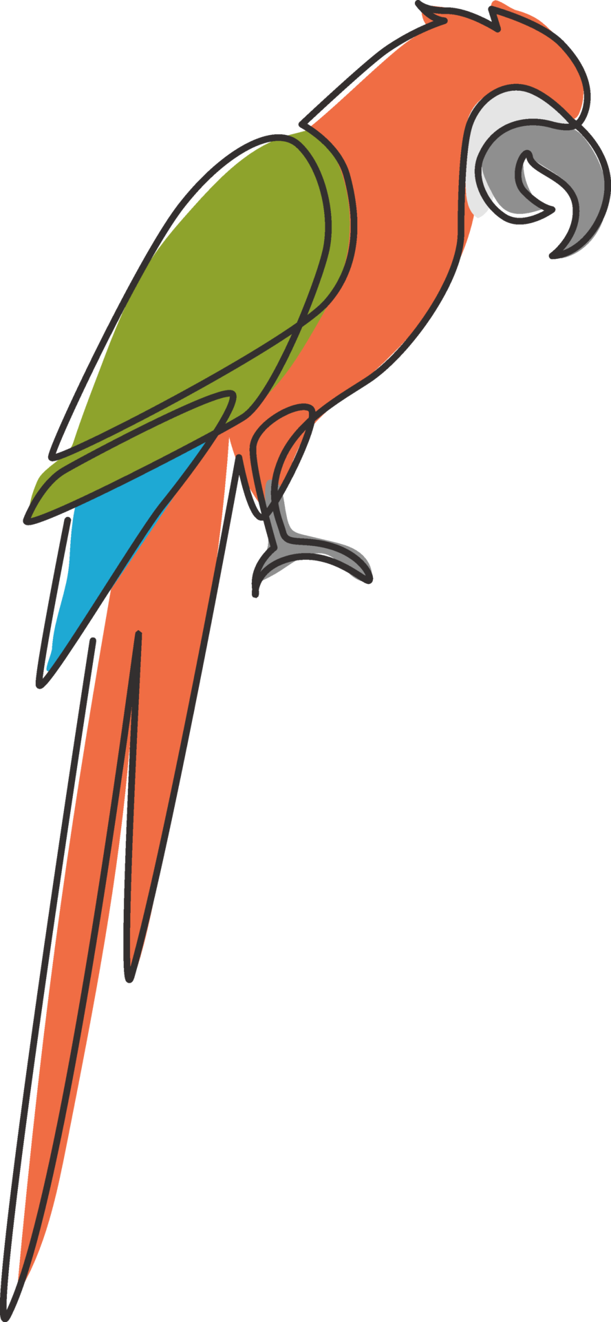 Single continuous line drawing of cute adorable parrot bird with ...