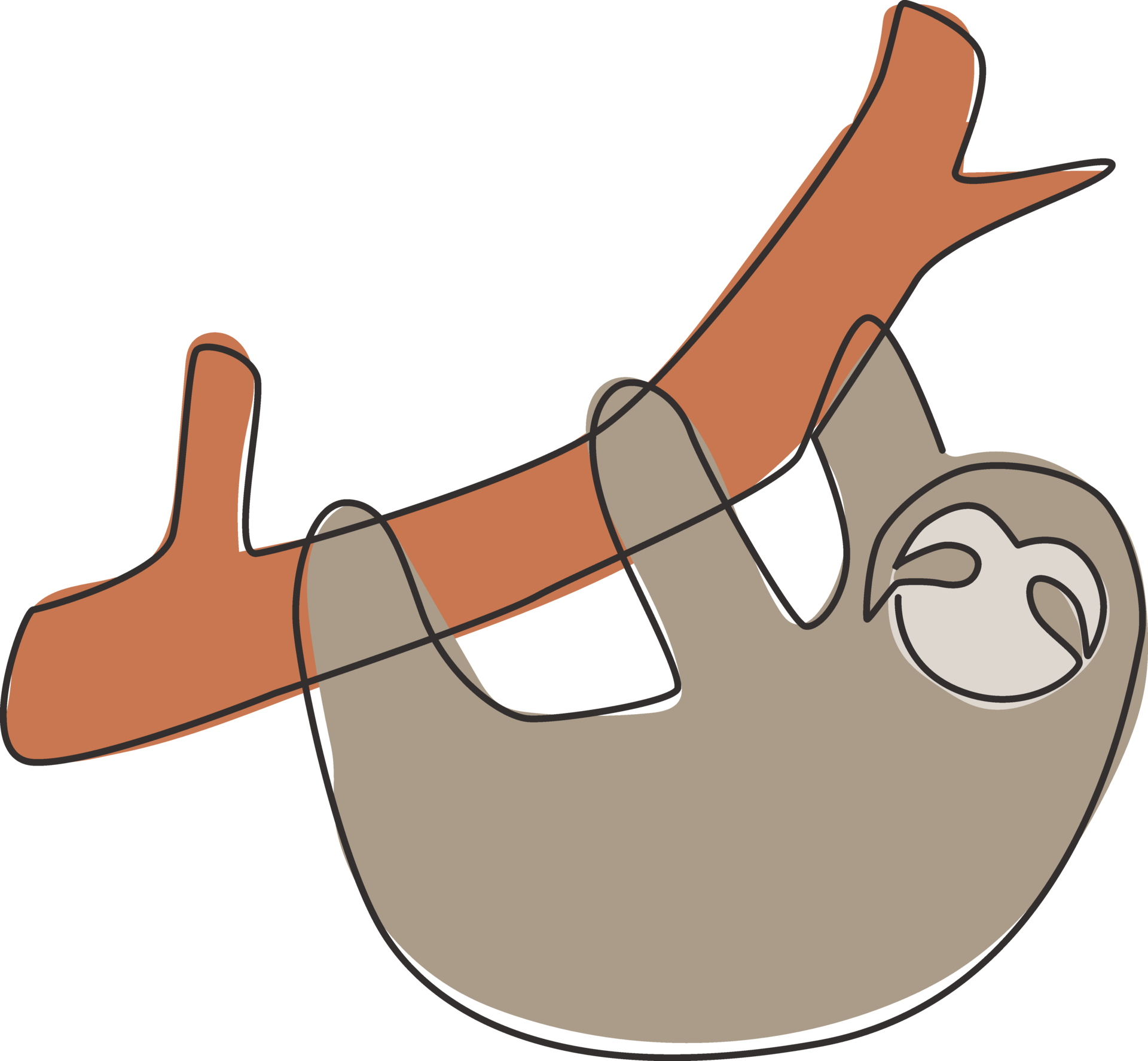 Is That Sloth A Marsupial? You Won'T Believe This! - 3h6tink