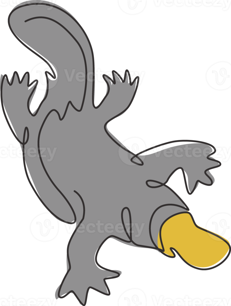 One continuous line drawing of cute platypus for logo identity. Australian mammal animal mascot concept for national conservation park icon. Trendy single line draw design vector graphic illustration png