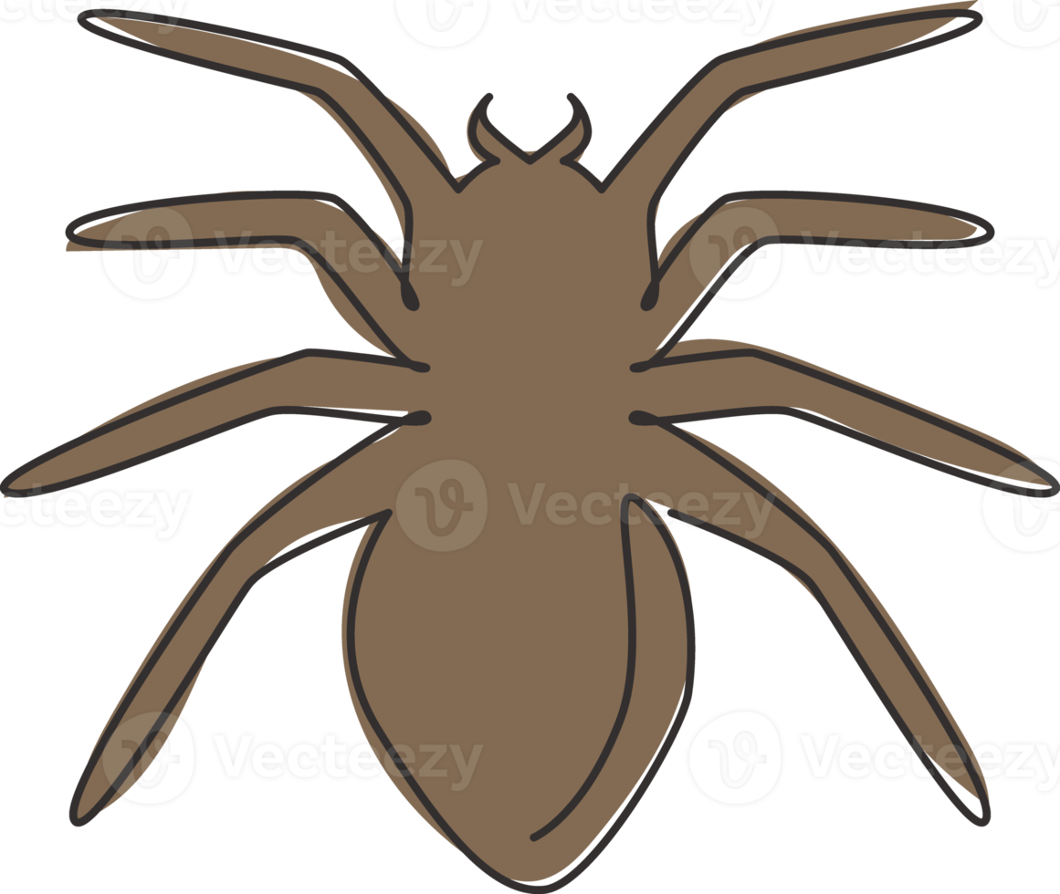One single line drawing of poisonous spider for logo symbol identity. Arachnid pet concept for insect lover club icon. Trendy continuous line draw design vector graphic illustration png