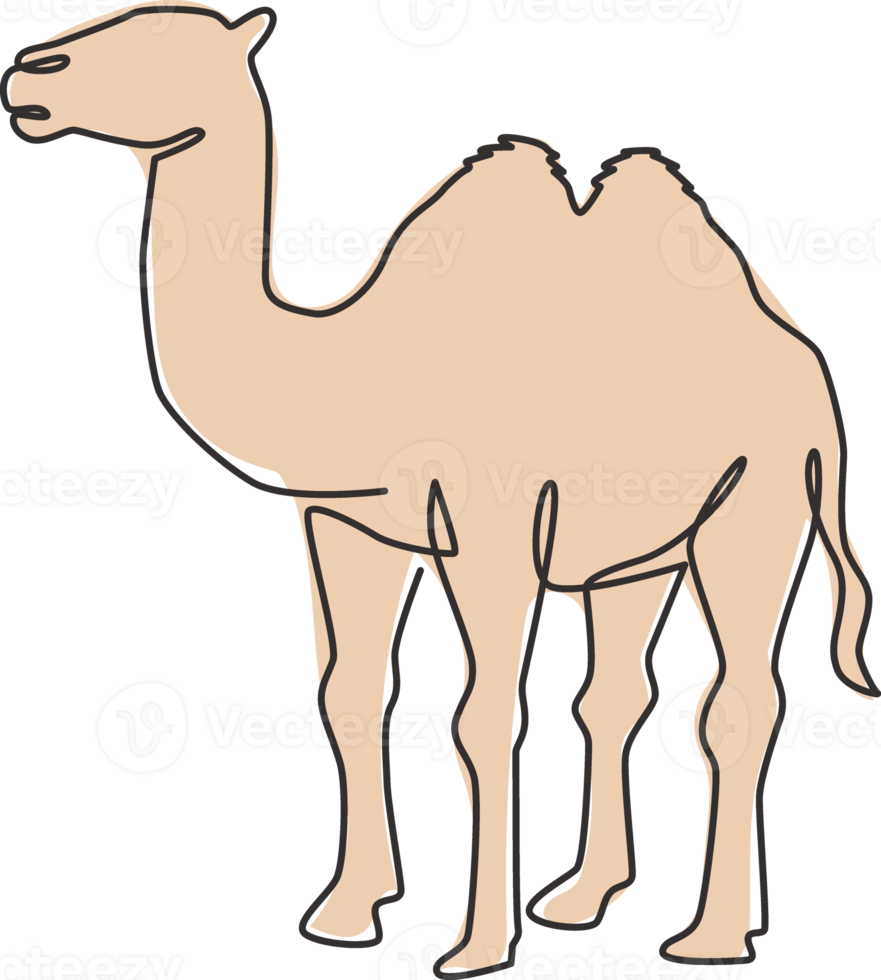 One single line drawing of desert Arabian camel for logo identity. Cute mammal animal concept for livestock husbandry icon. Trendy continuous line draw design graphic vector illustration png