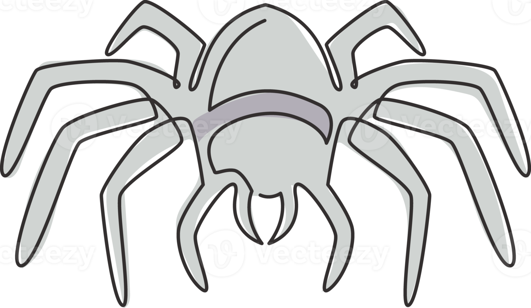 dibujo de una sola línea continua de la gran araña salvaje para la identidad del símbolo del logotipo. lindo concepto de animal de compañía para el icono de amante de los insectos. Ilustración gráfica de vector de diseño de dibujo de una línea dinámica png