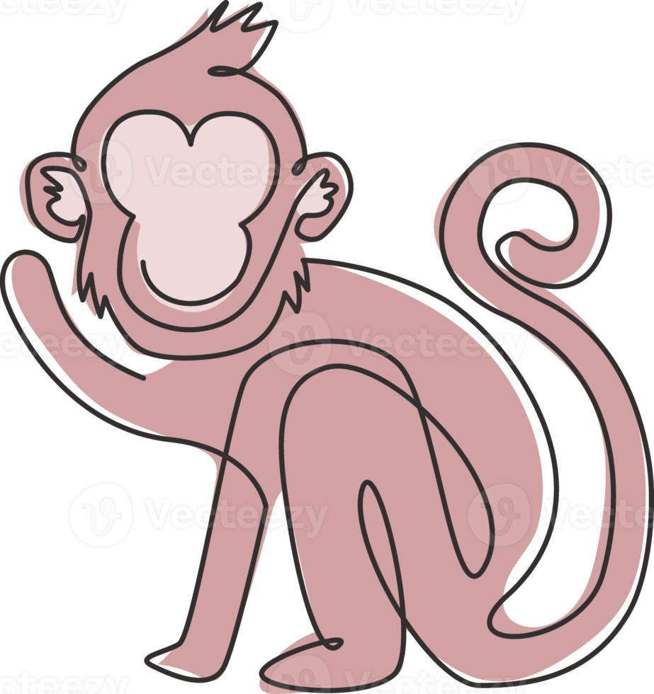 Single continuous line drawing of cute walking monkey for national zoo logo identity. Adorable primate animal mascot concept for circus show icon. One line draw design vector graphic illustration png