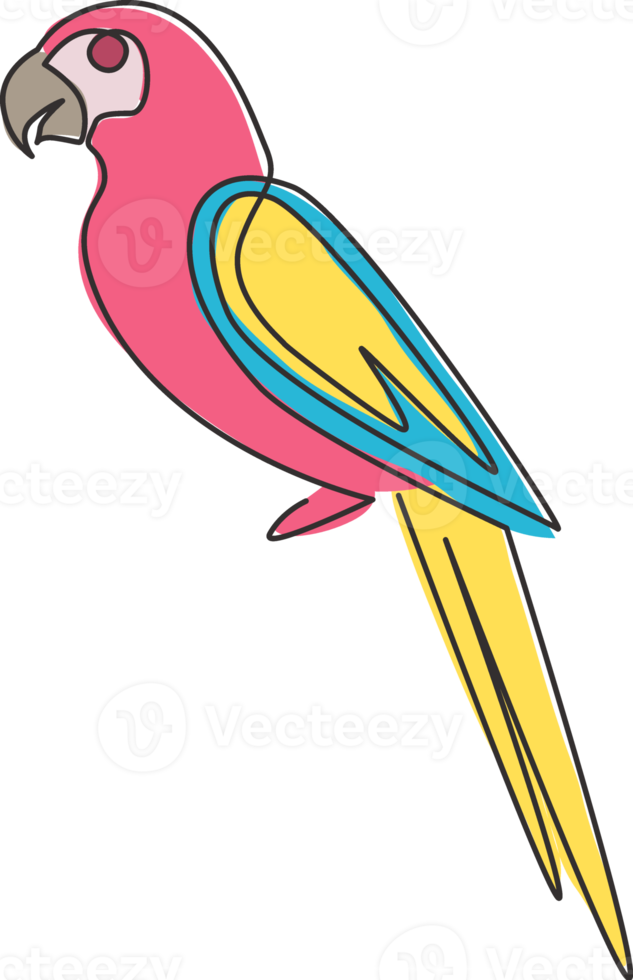 en kontinuerlig linjeteckning av söt papegojfågel med lång svans för logotypidentitet. aves djur maskot koncept för national conservation park ikon. enda rad rita design vektorgrafisk illustration png