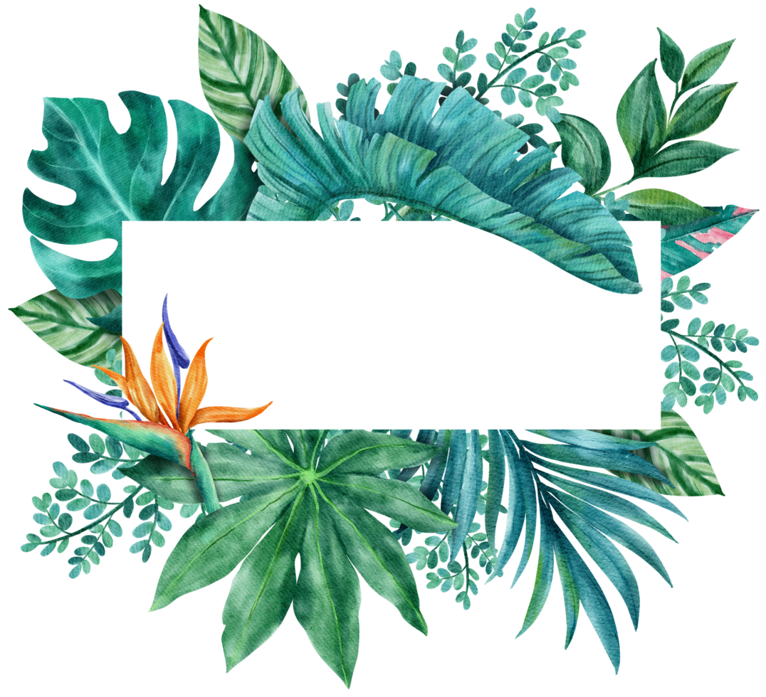 Botanical tropical leaves frame watercolor png