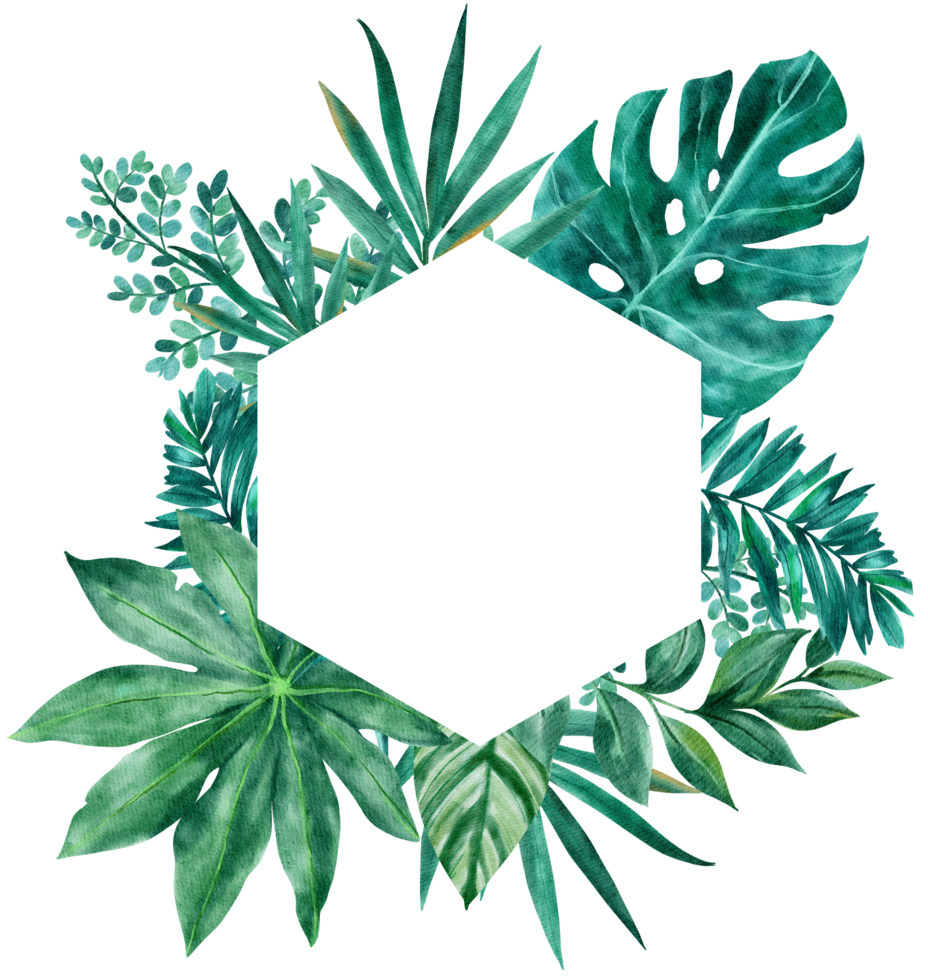 botanisch tropisch Blätter Rahmen Aquarell png