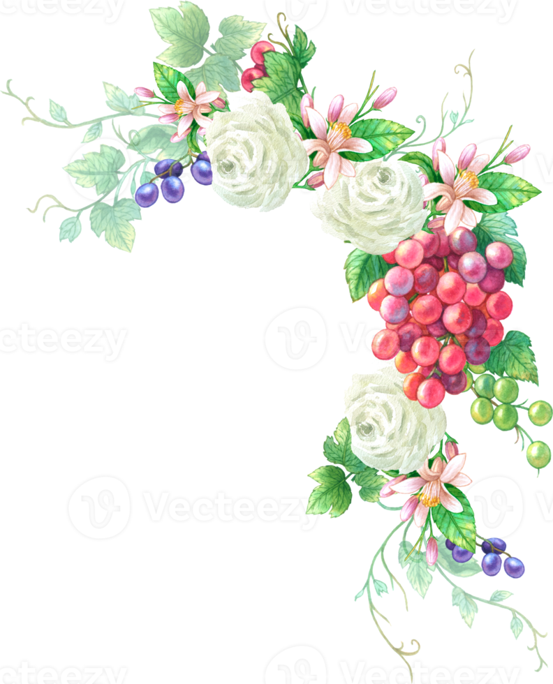 Grape fruit and flower wreath and bouquet watercolor png