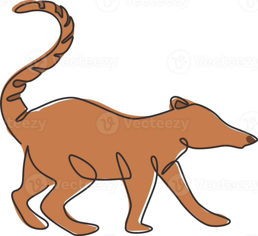 disegno a linea continua di adorabili coati per l'identità del logo aziendale. concetto di mascotte animale mammifero dalla coda ad anello per l'icona del parco nazionale. illustrazione grafica vettoriale moderna di disegno di una linea di disegno png