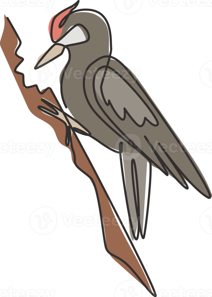 un dessin au trait continu de pic mignon sur un arbre en bois. concept de mascotte d'oiseau batteur de bec pour l'icône du zoo national. Illustration vectorielle graphique de conception de dessin de ligne unique moderne png