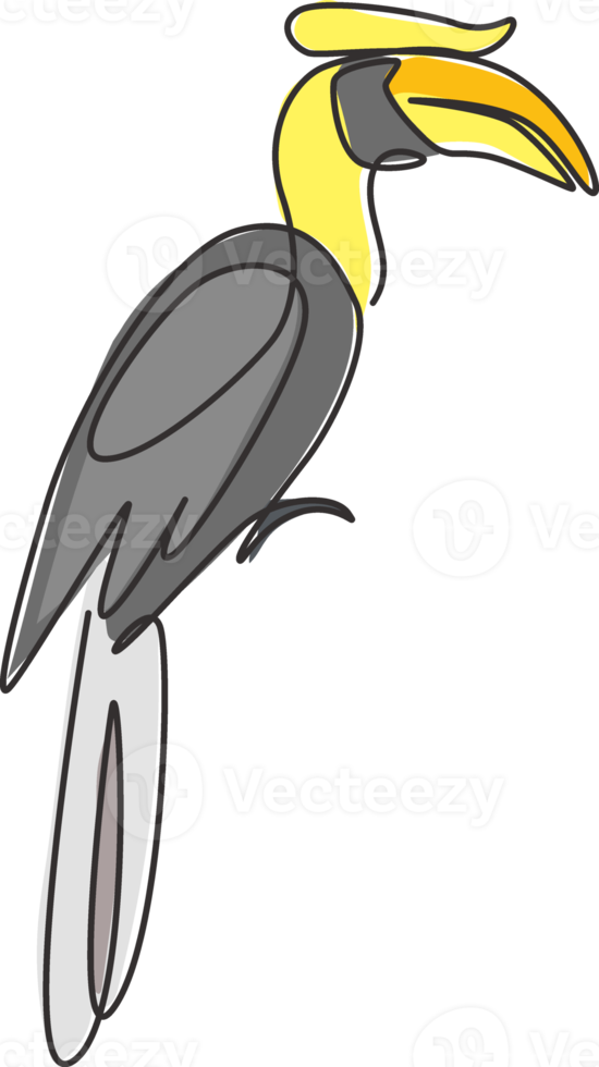 un disegno a tratteggio di un adorabile bucero per l'identità del logo dello zoo. concetto di mascotte di uccelli di grandi dimensioni per l'icona del club amante degli uccelli. illustrazione vettoriale grafica di disegno di disegno di linea continua moderna png