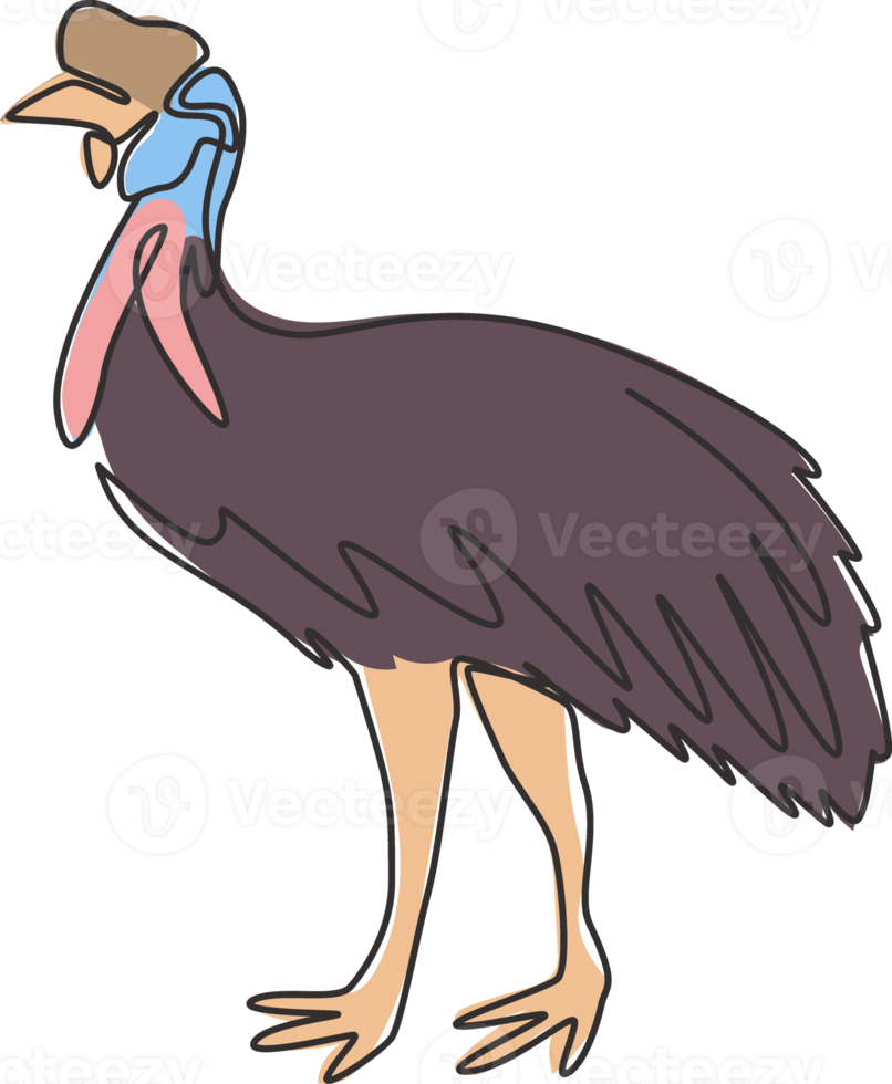 één enkele lijntekening van schoonheidscasuaris voor de identiteit van het bedrijfslogo. bedreigde vogel mascotte concept voor nationaal instandhoudingspictogram. moderne doorlopende lijn tekenen grafisch ontwerp vectorillustratie png