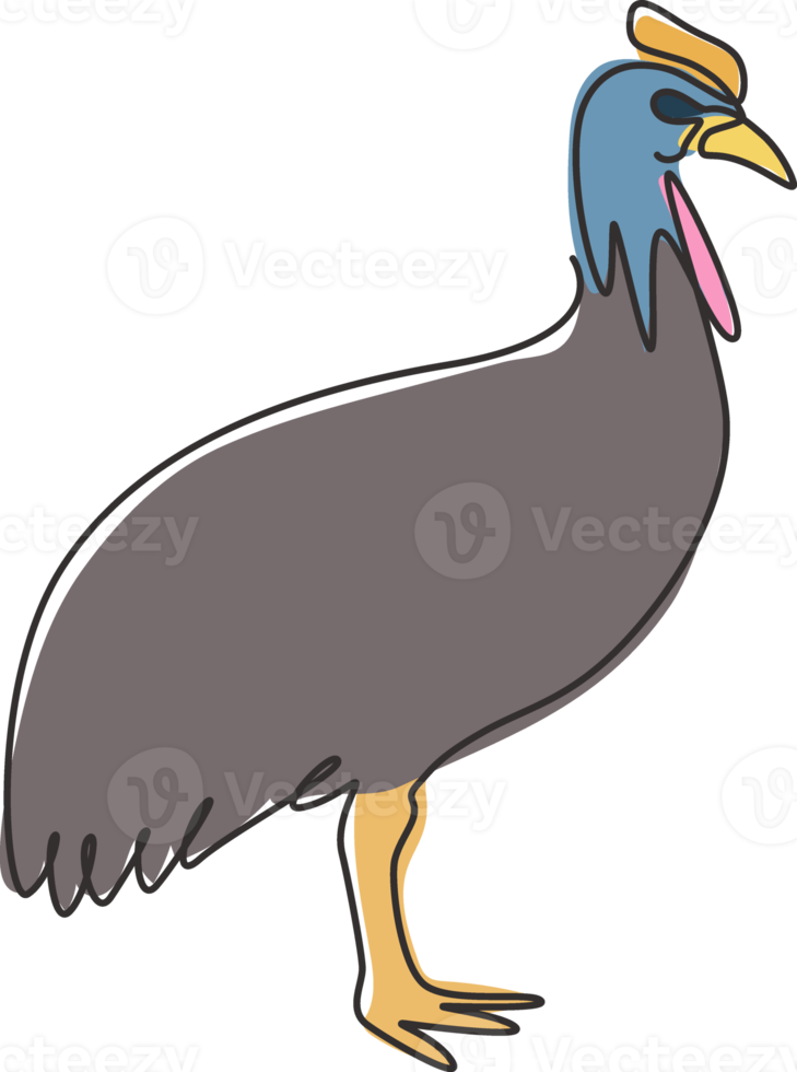 disegno a linea continua di casuario esotico per l'identità del logo aziendale. grande concetto di mascotte aviaria incapace di volare per l'icona del museo degli uccelli. illustrazione vettoriale grafica di design moderno di una linea di disegno png