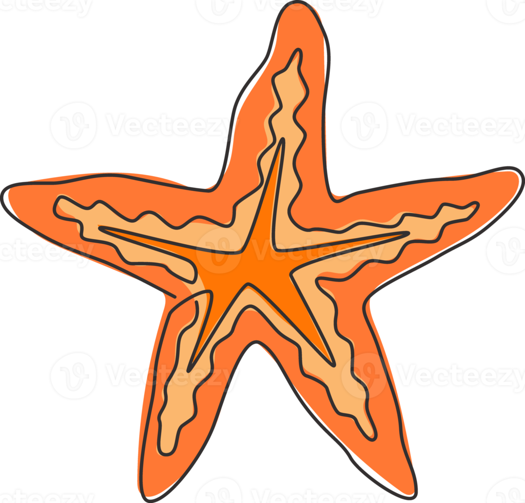 un dibujo de una sola línea de la belleza de la estrella de mar para la identidad del logotipo. concepto de mascota estrella de mar para icono de animal asteroidea. Ilustración de vector de diseño de dibujo de línea continua moderna png