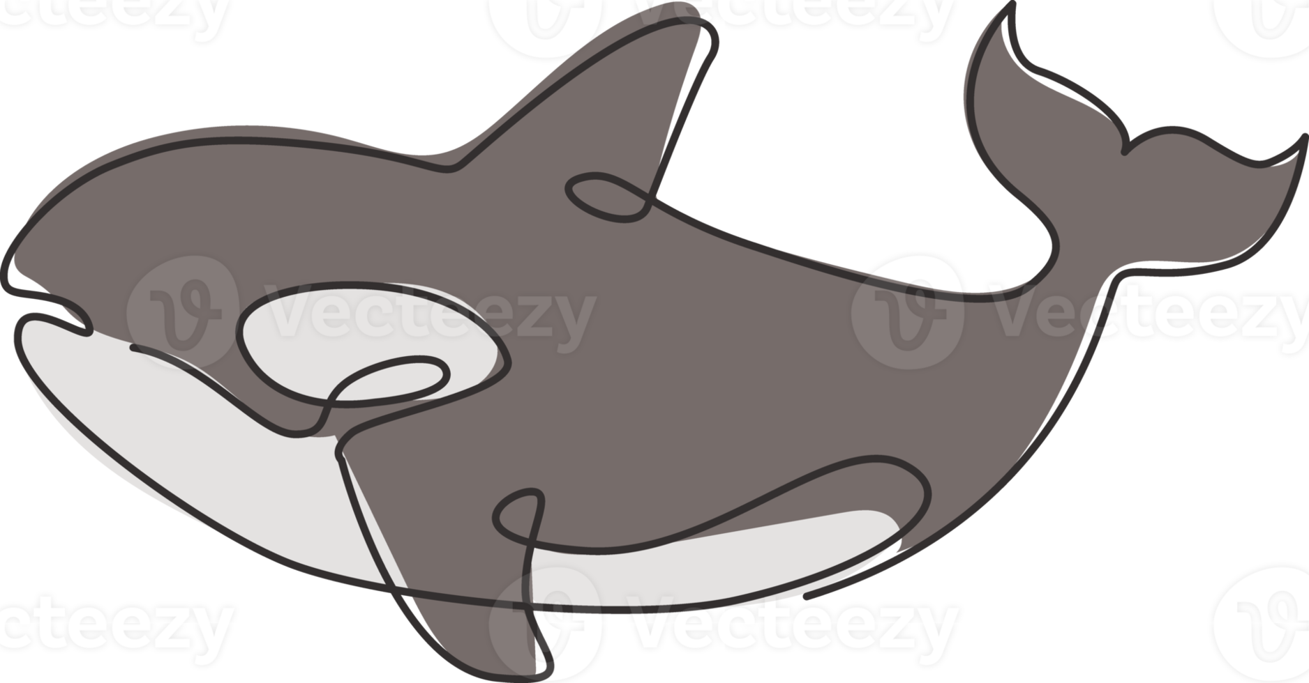 un dibujo de línea continua de una linda orca para la identidad del logotipo marino. concepto de la mascota de la ballena asesina para el icono del espectáculo del mundo marino. Ilustración de vector de diseño de dibujo de línea única moderna png