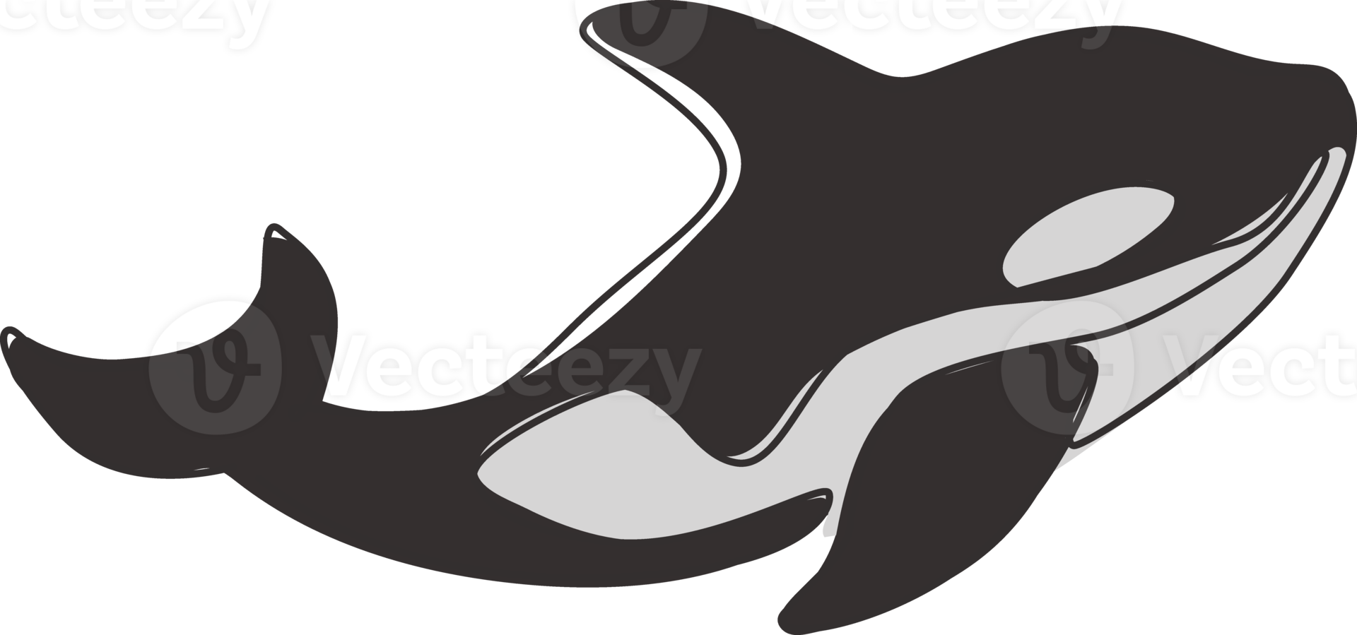 dibujo de línea continua única de gran orca adorable para la identidad del logotipo de la empresa. concepto de la mascota de la ballena asesina para el icono del amante del buceo. Ilustración de vector de diseño de dibujo de una línea moderna png