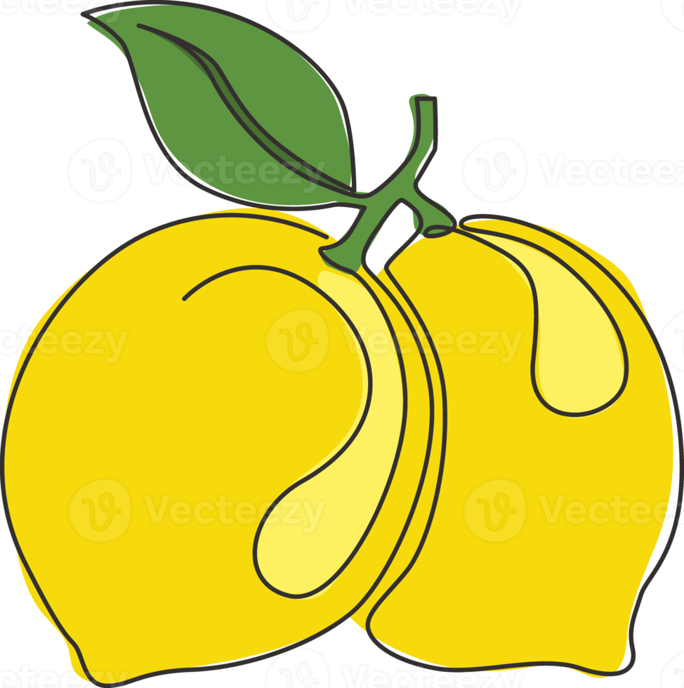 One continuous line drawing of whole healthy organic lemon for orchard logo identity. Fresh lemonade fruitage concept for fruit garden icon. Modern single line draw design vector graphic illustration png