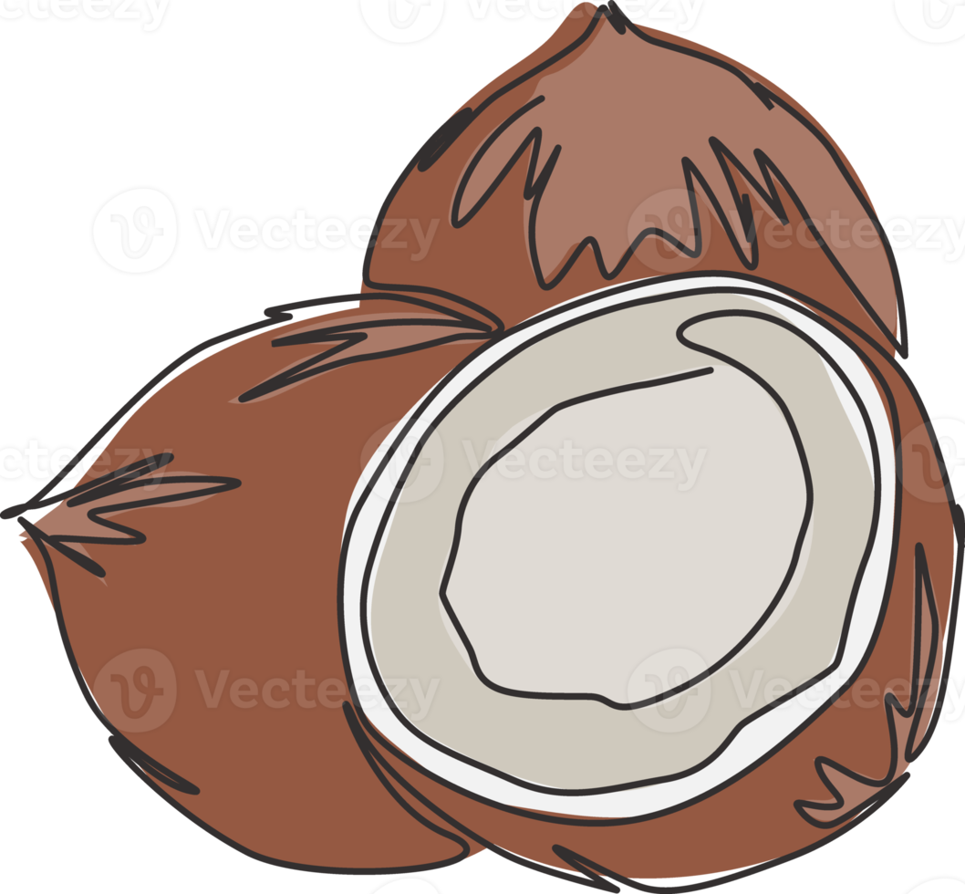 dibujo de una sola línea continua de coco orgánico sano entero y cortado en rodajas para la identidad del logotipo de la huerta. concepto de fruitage fresco para el icono de jardín de frutas. Ilustración de vector gráfico de diseño de dibujo de una línea moderna png