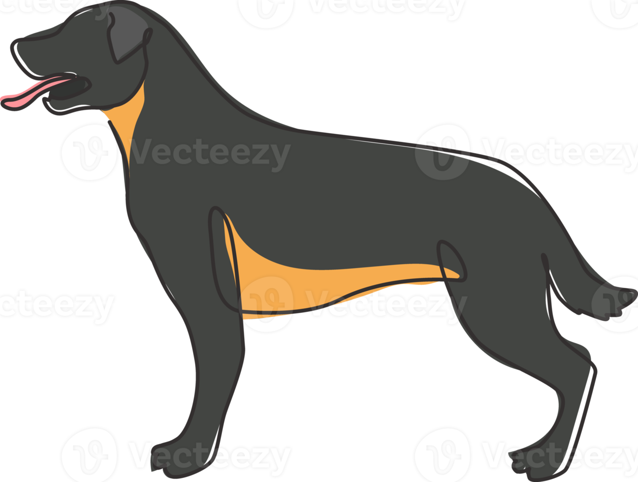 um desenho de linha contínua do feroz cão rottweiler para a identidade do logotipo da empresa de segurança. conceito de mascote de cão de raça pura para ícone de animal de estimação amigável de pedigree. ilustração em vetor moderno desenho de linha única png