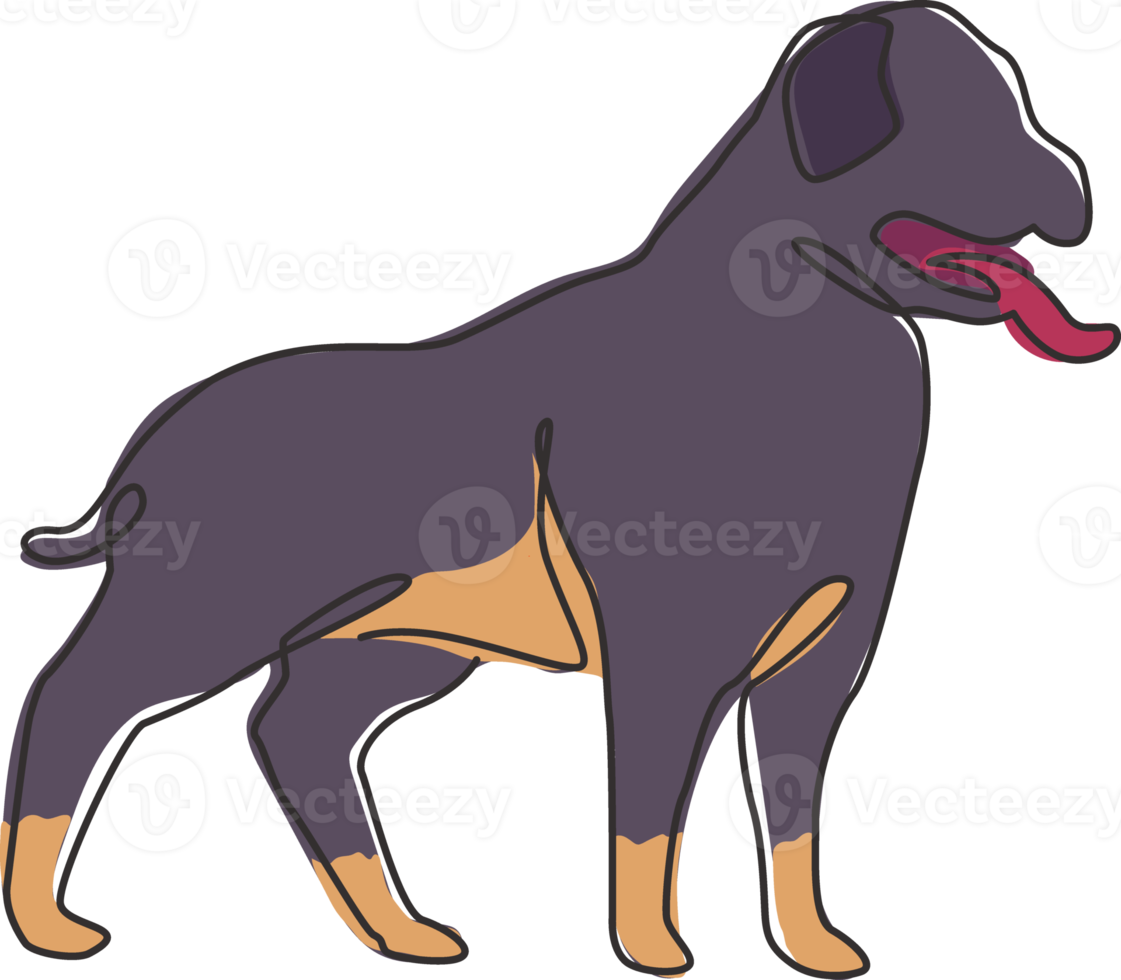 en rad ritning av käck rottweilerhund för säkerhetskomplogoidentitet. renrasig hundmaskotkoncept för stamtavlavänlig husdjursikon. moderna kontinuerliga en rad rita design vektorillustration png