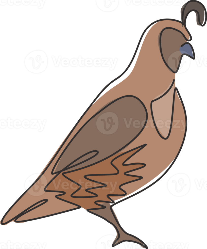 een doorlopende lijntekening van schattige Californische kwartel voor de identiteit van het boerderijlogo. zeer sociaal vogelmascotteconcept voor nationaal parkpictogram. moderne enkele lijn tekenen ontwerp grafische vectorillustratie png