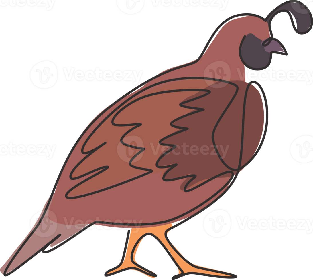 One single line drawing of funny valley quail for logo identity. California quail bird mascot concept for national conservation park icon. Modern continuous line draw design vector illustration png