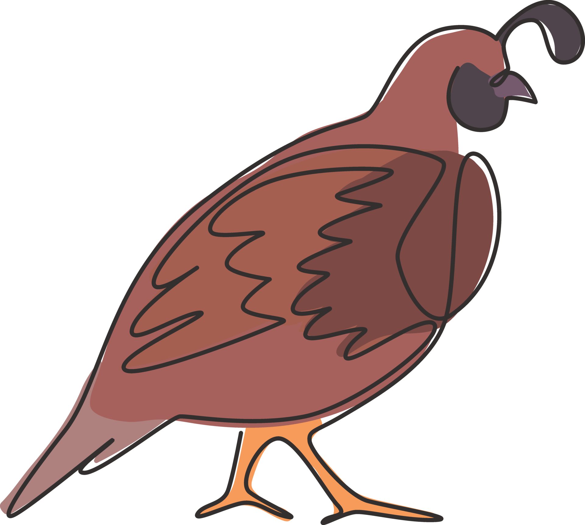 One single line drawing of funny valley quail for logo identity