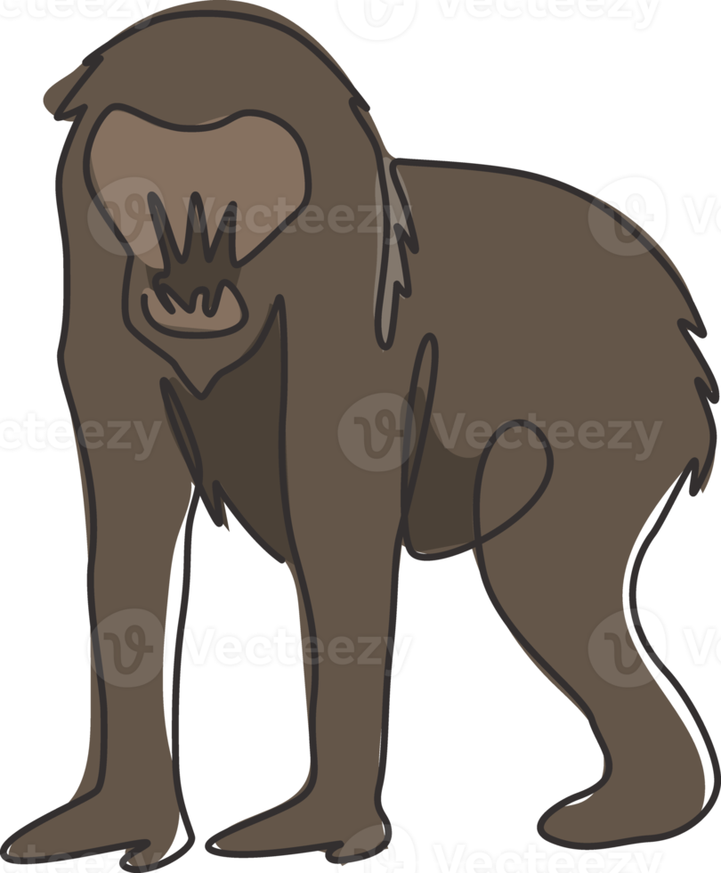 un disegno a tratteggio continuo di un simpatico mandrillo per l'identità del logo aziendale. grande concetto di mascotte scimmia esotica per l'icona dello zoo nazionale. illustrazione grafica vettoriale di design moderno a linea singola png