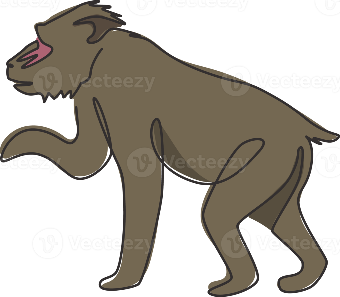 en enda linjeteckning av bedårande mandrill för företagslogotypidentitet. stor skönhet primat maskot koncept för national conservation park ikon. modern kontinuerlig linje rita design vektorillustration png