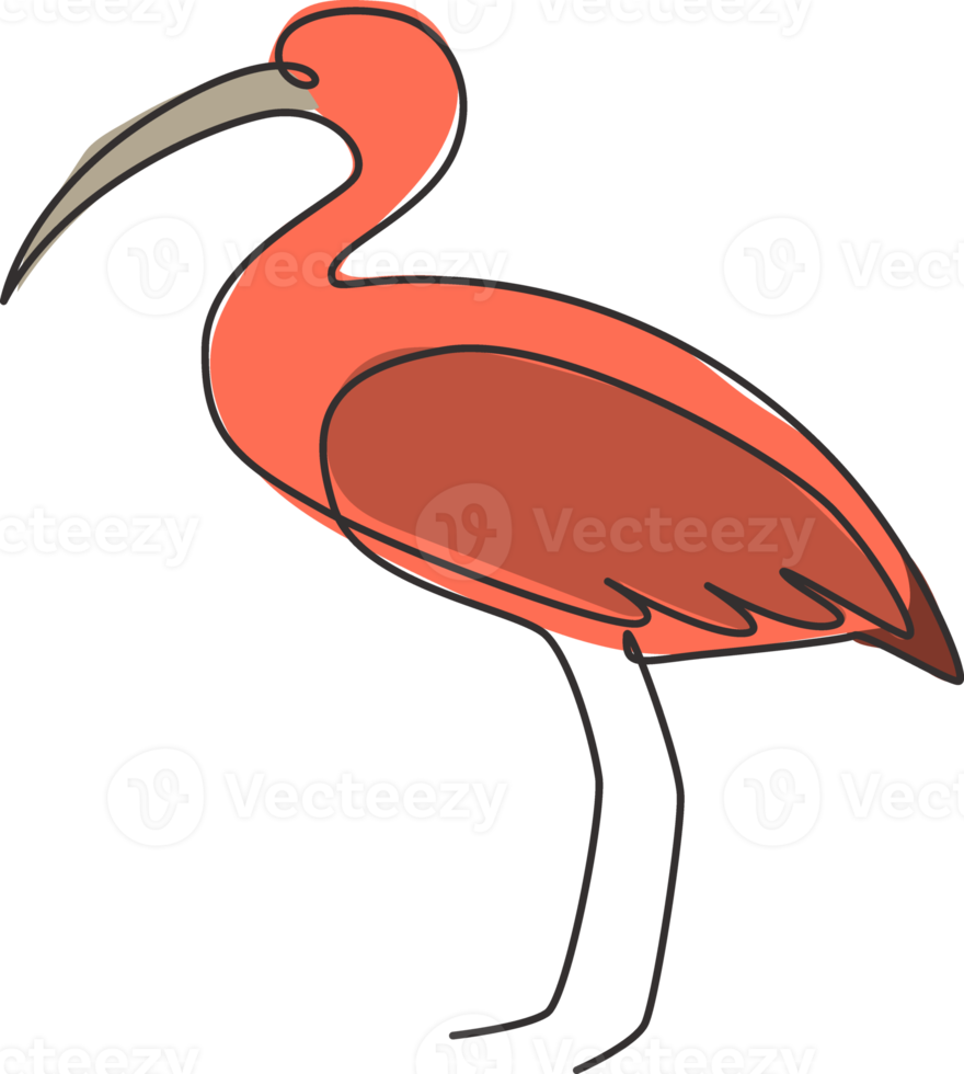One continuous line drawing of cute ibis for company logo identity. Long legged wading bird mascot concept for national zoo icon. Modern single line draw design vector graphic illustration png