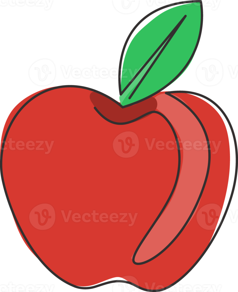 Single one line drawing of whole healthy organic apple for orchard logo identity. Fresh sweet fruitage concept for fruit garden icon. Modern continuous line graphic draw design vector illustration png