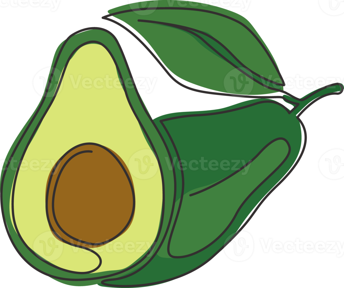 One continuous line drawing of whole healthy organic avocado fruit for orchard logo identity. Fresh tropical fruitage concept for fruit garden icon. Modern single line draw design vector illustration png