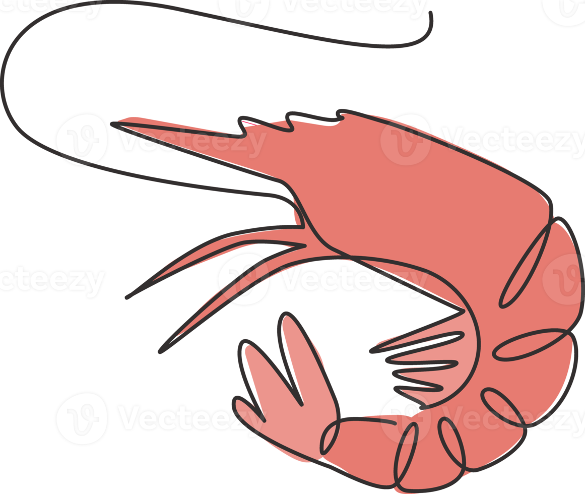 One continuous line drawing of fresh shrimp for seafood logo identity. Prawn mascot concept for Chinese restaurant icon. Single line draw design graphic vector illustration png