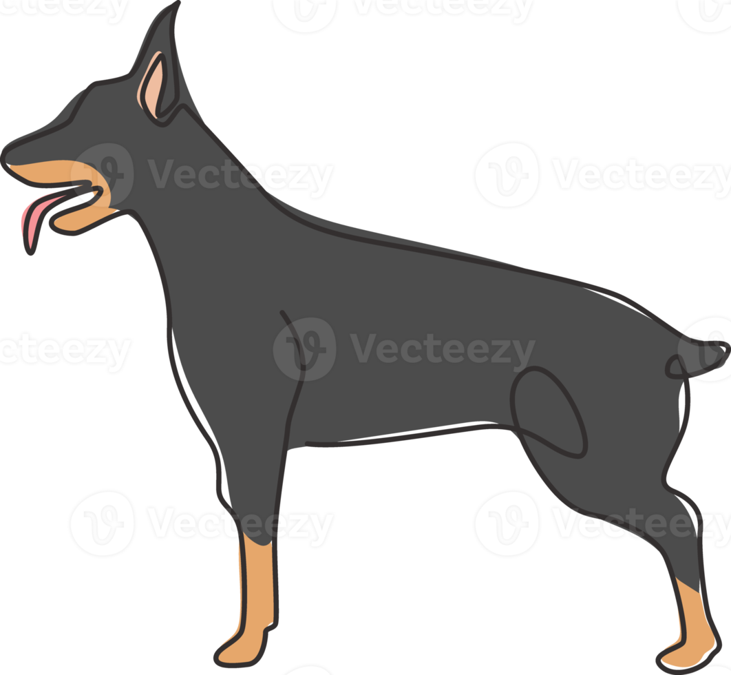 Single continuous line drawing of dashing doberman dog for security company logo identity. Purebred dog mascot concept for pedigree friendly pet icon. Modern one line draw design vector illustration png