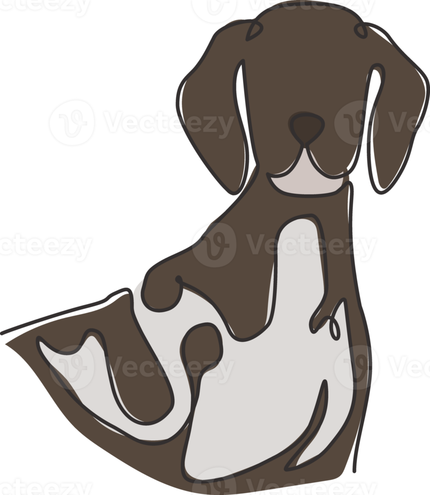 un dibujo de línea continua del lindo puntero de pelo corto alemán para la identidad del logotipo de la empresa. concepto de mascota de perro de raza pura para el icono de mascota amigable con el pedigrí. Ilustración de vector de diseño de dibujo de línea única moderna png