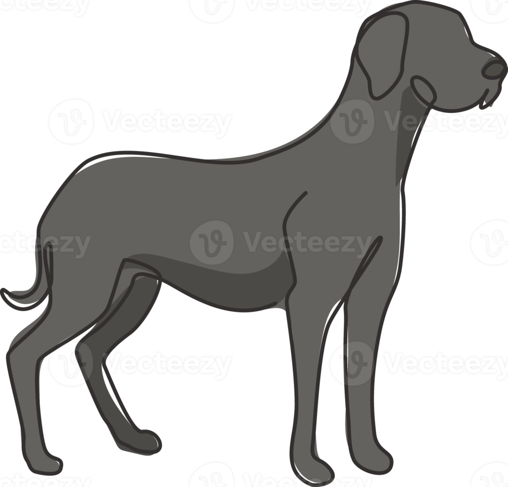 un dibujo de línea continua del gallardo perro gran danés para la identidad del logotipo de la empresa de seguridad. concepto de mascota de perro de raza pura para el icono de mascota amigable con el pedigrí. Ilustración de vector de diseño de dibujo de línea única moderna png