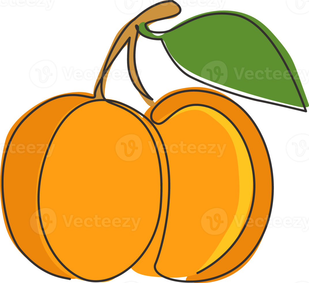 desenho de linha contínua única de alperce orgânico saudável inteiro para identidade do logotipo do pomar. conceito de fruta fresca para ícone de jardim de frutas. ilustração em vetor design gráfico moderno de uma linha png