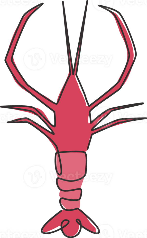 één enkele lijntekening van verse garnalen voor de identiteit van het bedrijfslogo van zeevruchten. groot garnalenmascotteconcept voor het pictogram van de landbouwcultuur. doorlopende lijn tekenen ontwerp vector illustratie afbeelding png