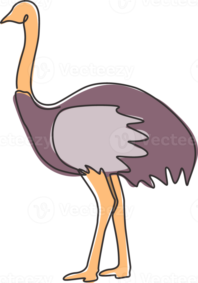 Single continuous line drawing of large ostrich for logo identity. Long necked bird mascot concept for national zoo icon. Modern one line draw graphic design vector illustration png