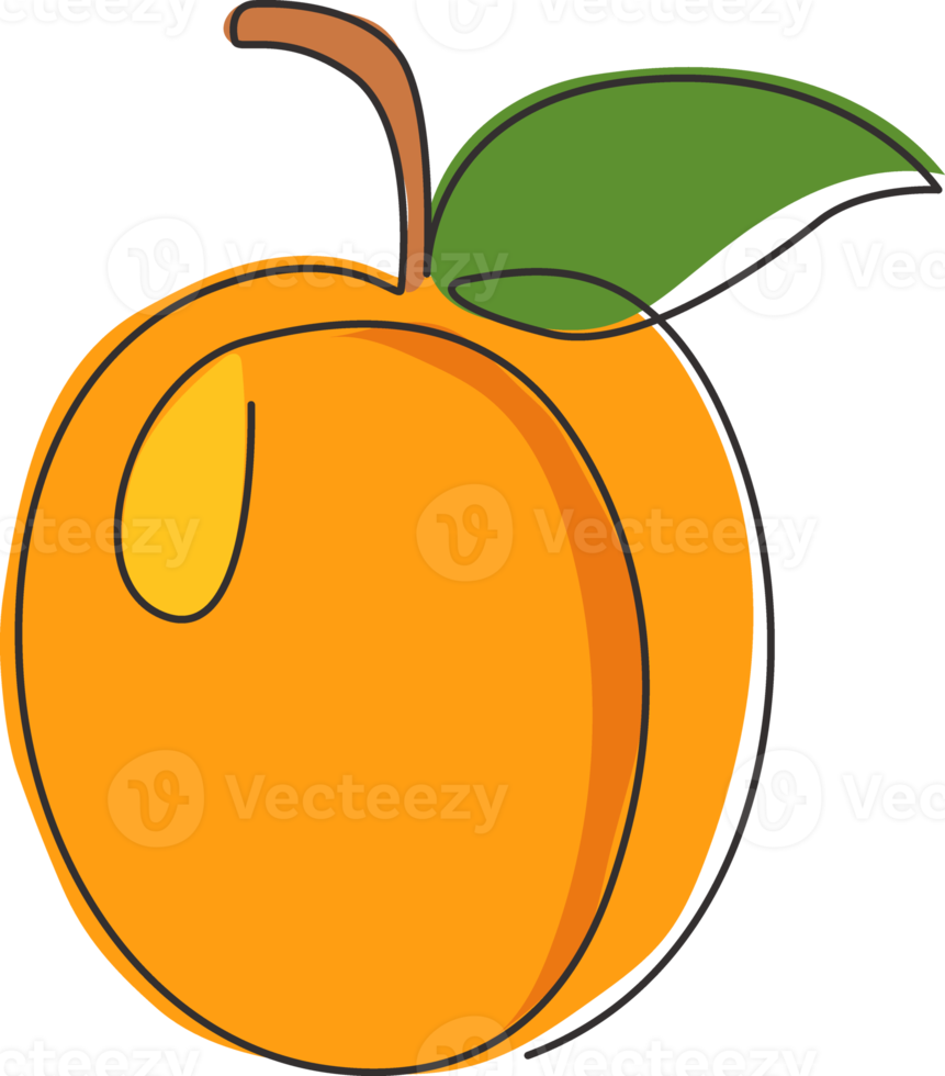 un dessin au trait continu d'abricot biologique sain entier pour l'identité du logo du verger. concept de fruits frais pour l'icône de jardin fruitier. Illustration vectorielle graphique de conception de dessin de ligne unique moderne png