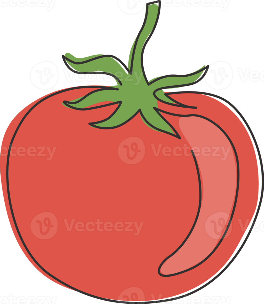 enda kontinuerlig linjeritning av hela hälsosamma ekologiska tomater för jordbrukslogotyp. färska tropiska grönsaker koncept för vegie trädgård ikon. moderna en rad rita design grafisk vektorillustration png