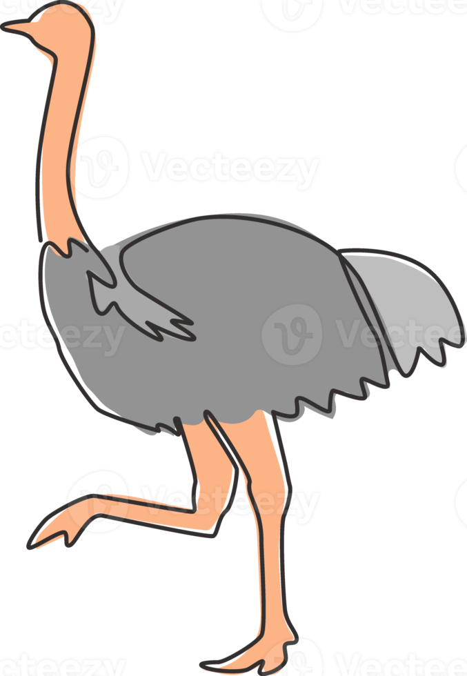 One single line drawing of giant running ostrich for logo identity. Flightless bird mascot concept for safari park icon. Modern continuous line draw design graphic vector illustration png