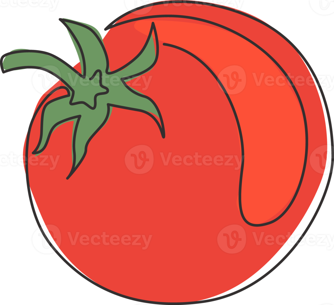 dibujo de una sola línea tomate orgánico sano entero para la identidad del logotipo de cultivo. concepto de vegetales tropicales frescos para el icono del jardín de verduras. Ilustración de vector gráfico de diseño de dibujo de línea continua moderna png