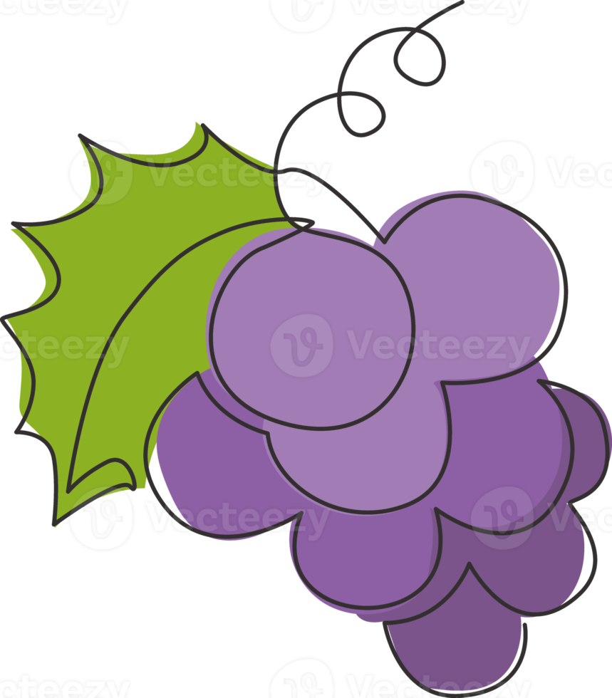 une seule ligne dessinant un raisin biologique sain pour l'identité du logo du vignoble. concept de fruitage tropical frais pour l'icône de jardin de verger de fruits. illustration vectorielle de ligne continue moderne dessin graphique png