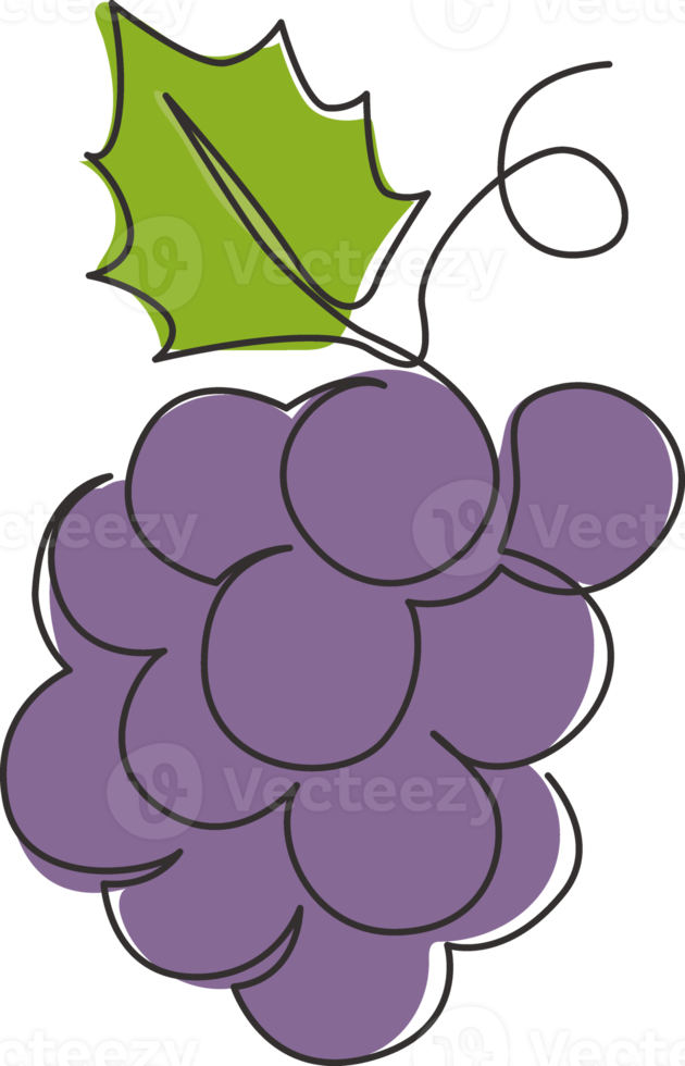 Single continuous line drawing healthy organic grapes for vineyard logo identity. Fresh tropical fruitage concept for fruit orchard garden icon. Modern one line draw graphic design vector illustration png