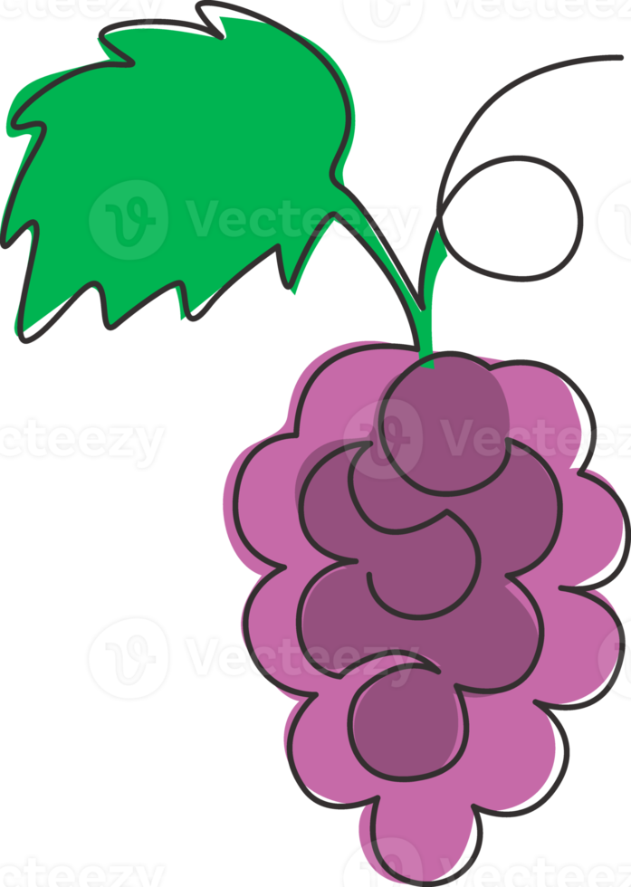 een doorlopende lijntekening van gezonde biologische druiven voor de identiteit van het wijngaardlogo. vers tropisch fruitconcept voor fruitboomgaardtuinpictogram. moderne enkele lijn tekenen ontwerp vector grafische afbeelding png