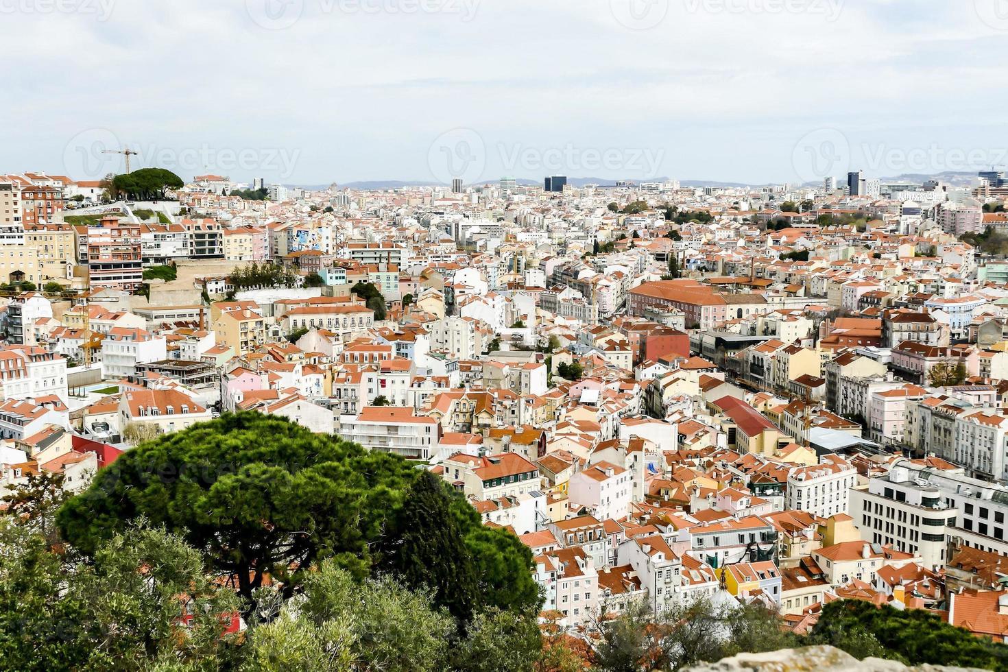 Buildings in the city photo