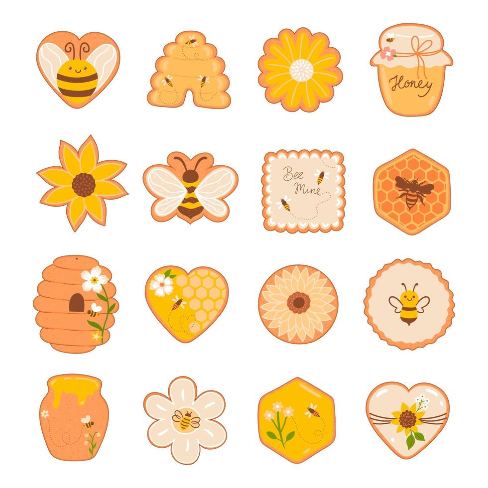 Set of top view honey cookies isolate on white background. Vector graphics.